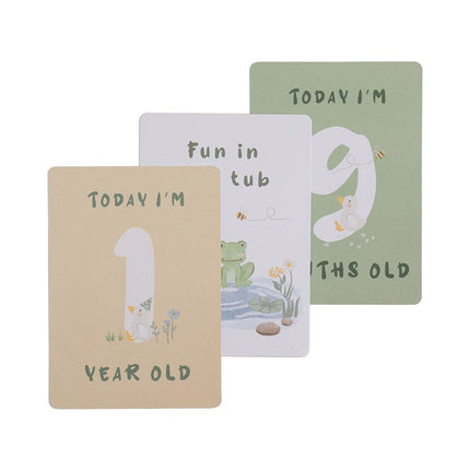 Baby Milestone Cards • Gosling Meadow