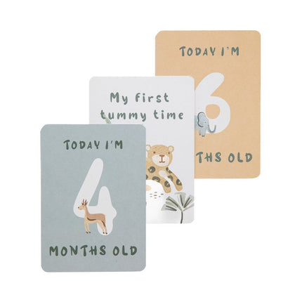 Baby Milestone Cards • Savanna Storytime