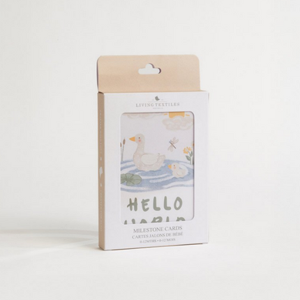 DIY Baby Gift Builder • Baby Milestone Cards