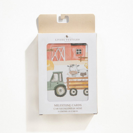 DIY Baby Gift Builder • Baby Milestone Cards