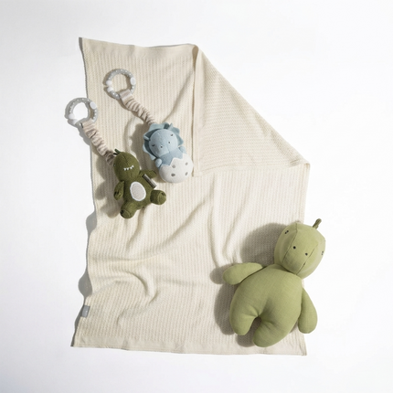 Baby Gift Hamper • Denis Dinosaur